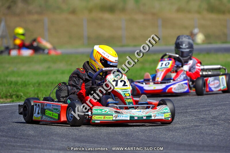 DSC_ (1355).jpg